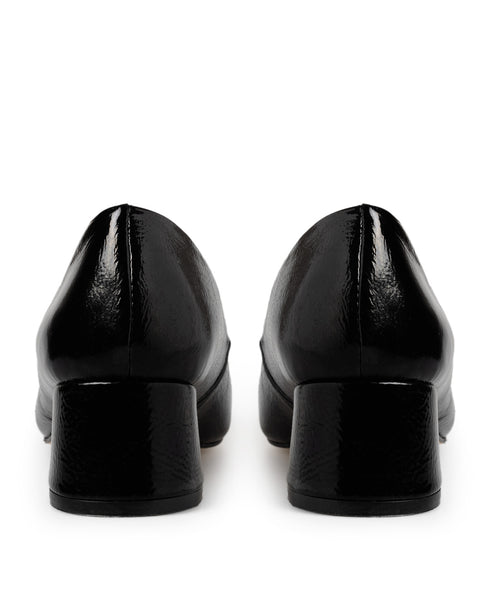 Zapatilla Negra Confort Hebilla 1464